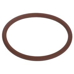 O'ring Aplicavel em: 17289781