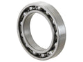 Sparex Rolamento (6013) (S.18013)