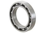 Sparex Rolamento (6013) (S.18013)