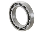 Sparex Rolamento (6013) (S.18013)