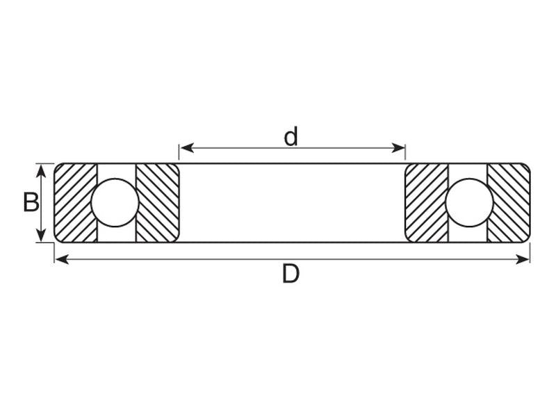 Sparex Rolamento (6072RS) (S.18320)