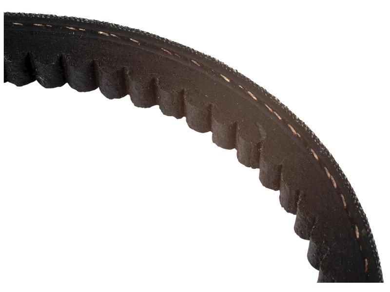 Correia AVX10 x 1525 (S.18623)