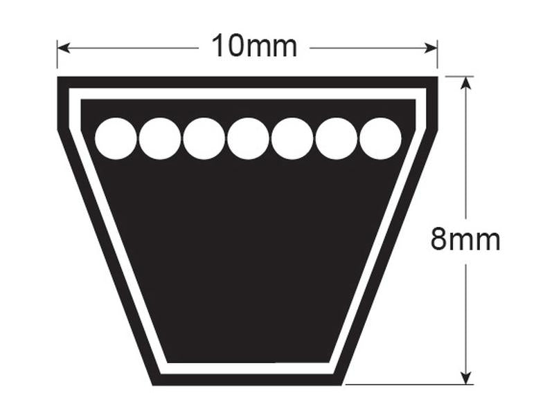 Correia AVX10 x 1575 (S.18625)