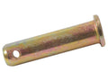 Cavilha Ø10mm x 35.50mm (S.19791)