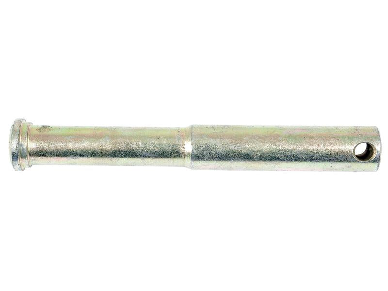 Cavilha (S.2062)