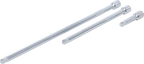 Conjunto de extensões basculantes | 6,3 mm (1/4") | 50 / 150 / 250 mm | 3 peças