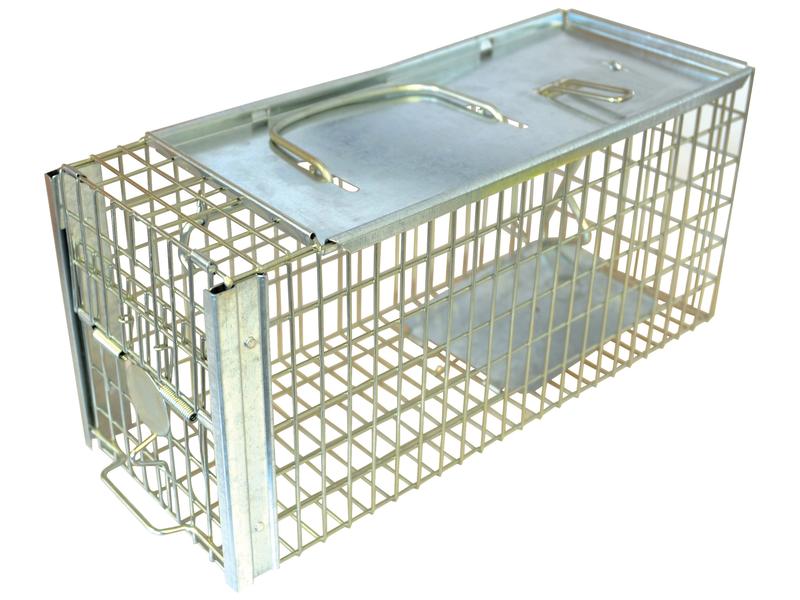 Ratoeira (S.22414)