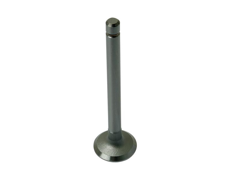 Válvula de escape Standard (S.22455)