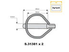 Agripak 2 un. Cavilha, 9.5mm x 46mm (S.22537)