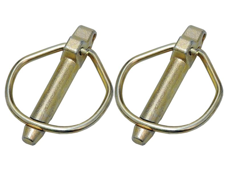 Agripak 2 un. Cavilha, 9.5mm x 46mm (S.22537)