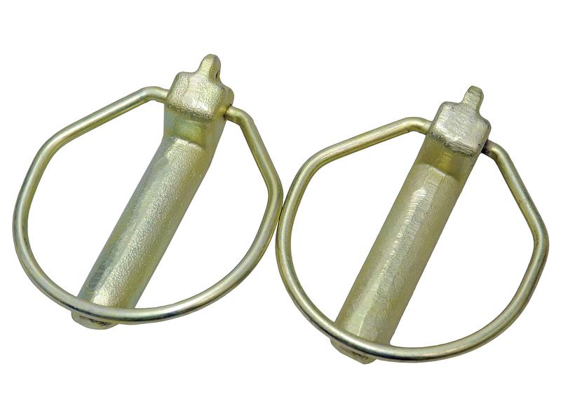 Agripak 2 un. Cavilha mola tipo Pêra 15mm x 60mm (S.23014)
