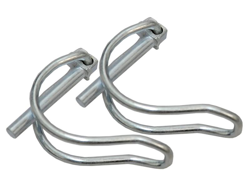 Agripak 2 un. Cavilha 4.5mm x 32mm (S.25793)