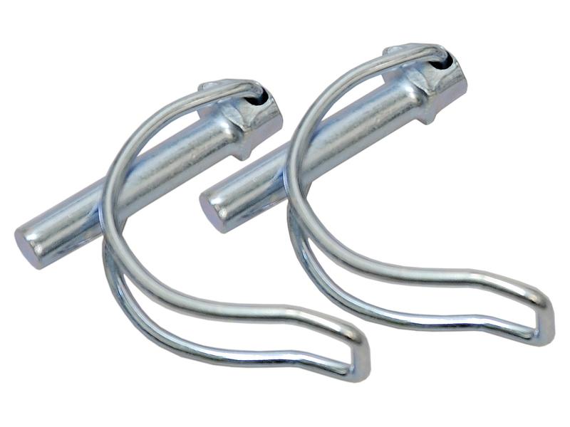 Agripak 2 un. Cavilha 8mm x 38mm (S.25795)