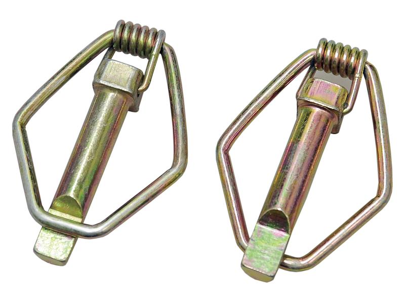 Agripak 2 un. Cavilha 10mm x 58mm (S.29111)