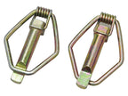 Agripak 2 un. Cavilha 10mm x 58mm (S.29111)