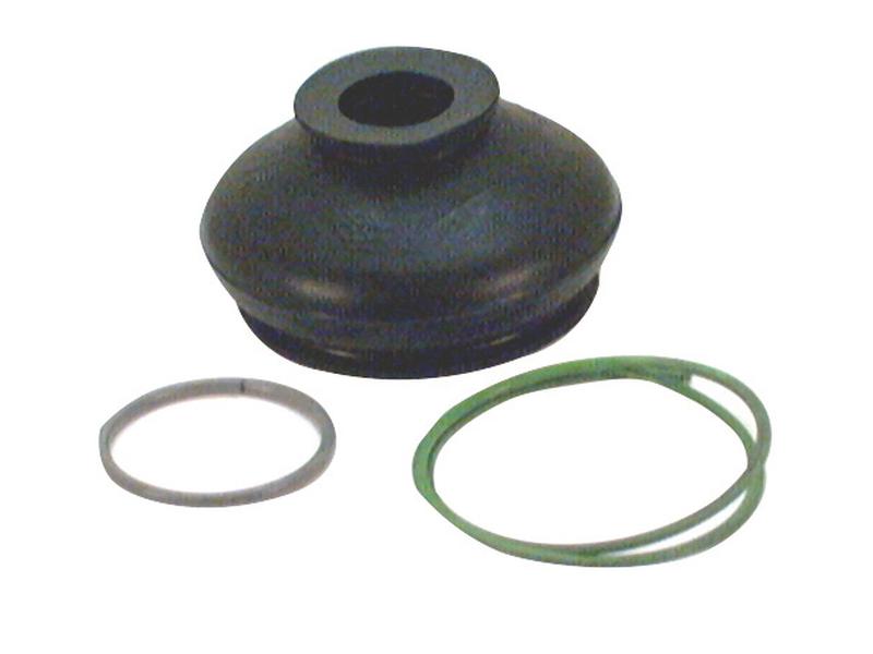 Fole (S.31485)