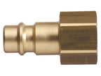 Plug Female BSPP - 3/8 (S.31817)