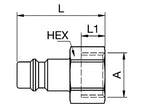 Plug Female BSPP - 3/8 (S.31817)