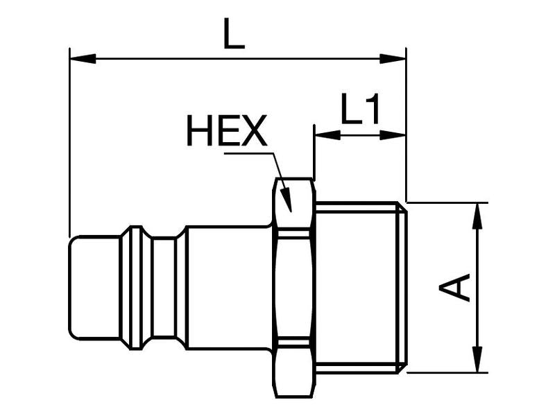 Plug Male - 1/2 (S.31821)