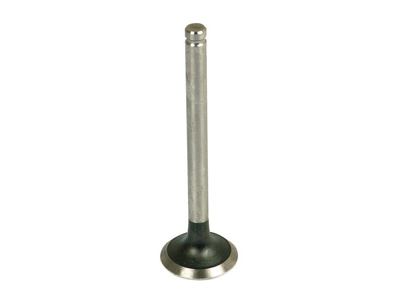 Válvula de escape Standard (S.40488)