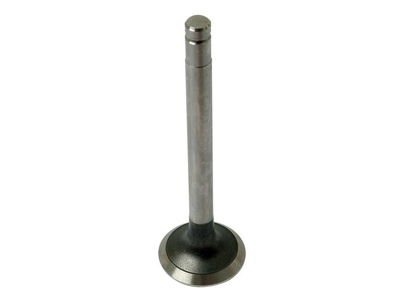 Válvula de escape +0.015'' (0.38mm) (S.40493)