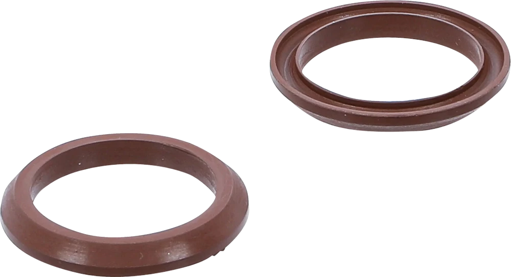 Vedação de fluoroelastómero para BGS 4067