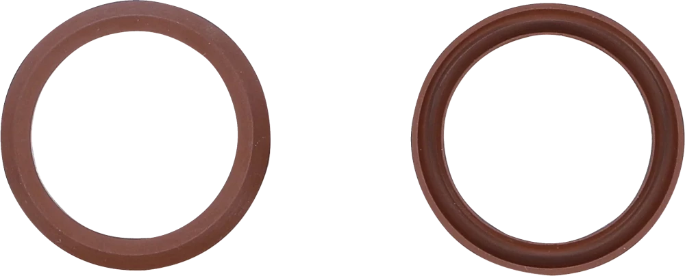 Vedação de fluoroelastómero para BGS 4067