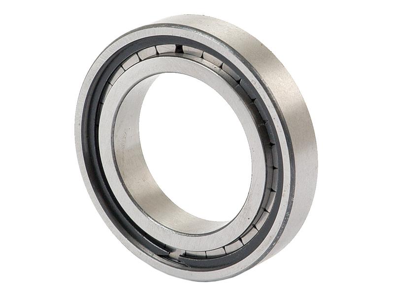 Sparex Rolamento de rolos cilíndricos (F32350) (S.40782)