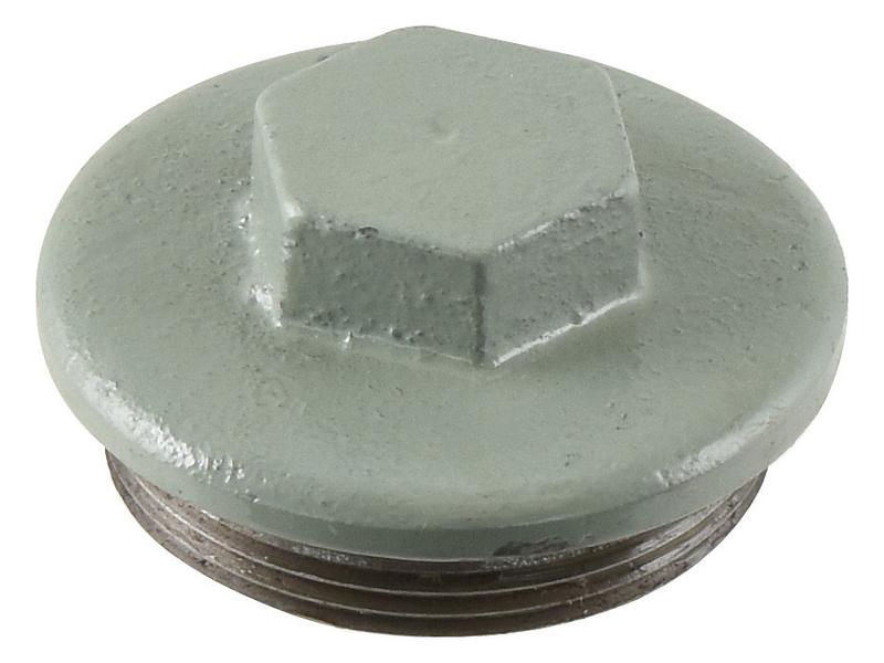 Bujão (S.41318)