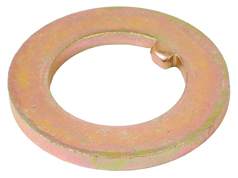 Anilha (S.41338)