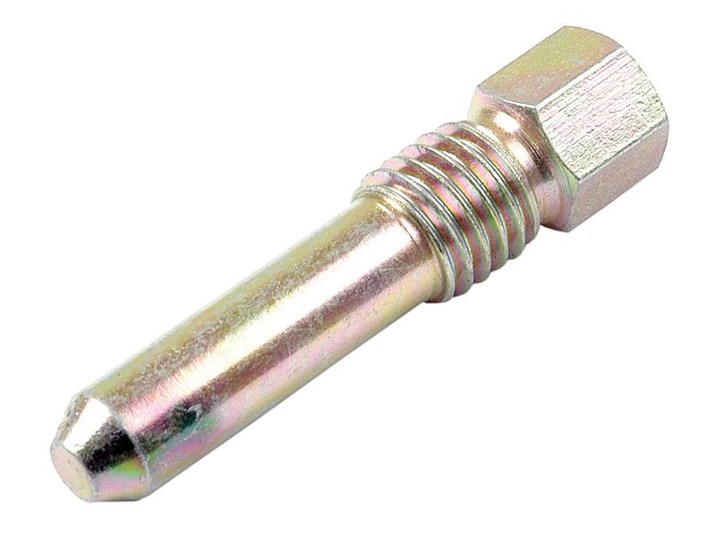 Parafuso (S.41384)