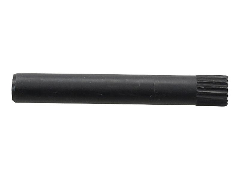 Cavilha (S.41552)