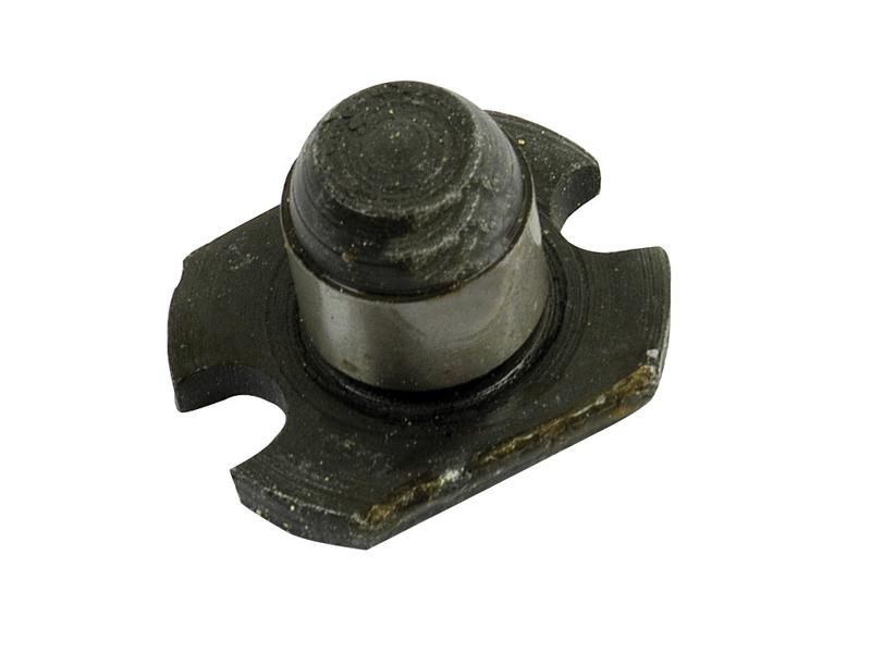Pino (S.41566)