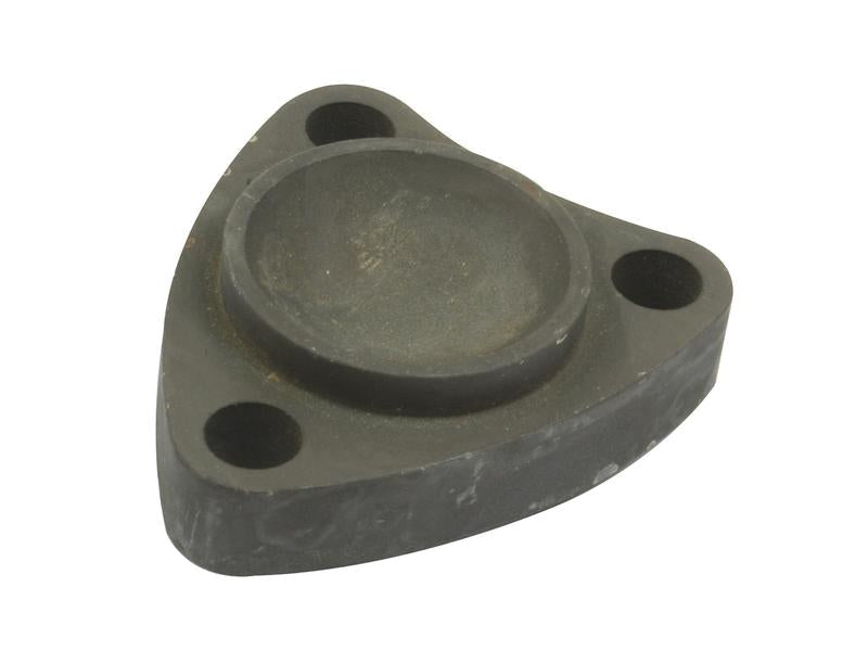 Tampa (S.41567)