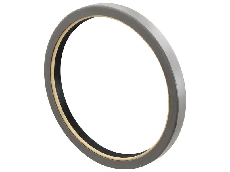 Retentor 165 x 190 x 17mm (S.41738)