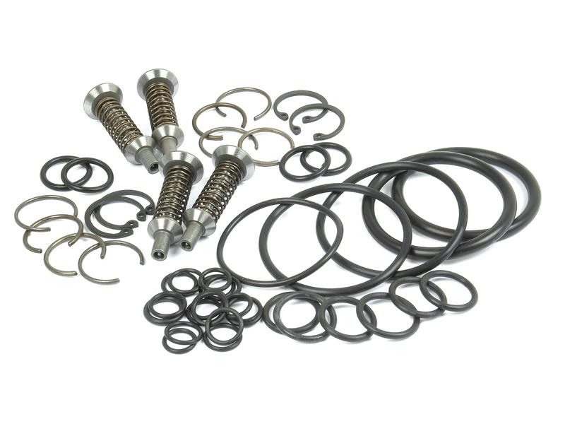 Kit reparação de valvula controlo (S.42009)