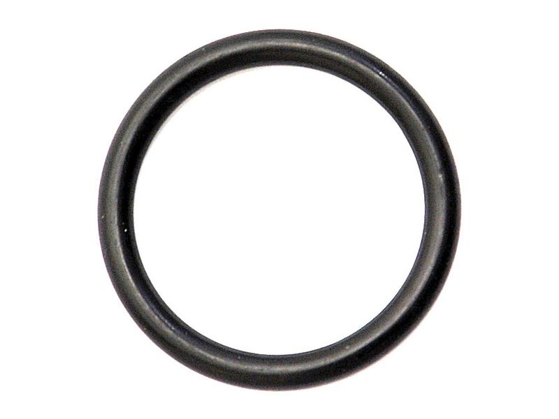 O'ring 4 x 31mm (S.42299)