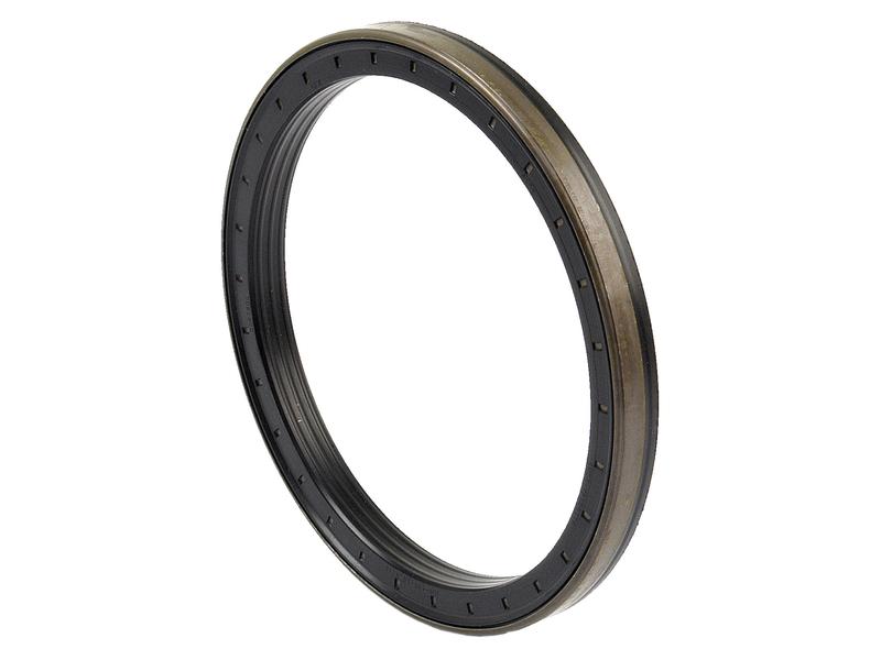 Retentor 165 x 195 x 17mm (S.43099)
