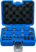 Conjunto de chaves de caixa e de pontas | Perfil em E / Perfil em T (para Torx) | 17 peças