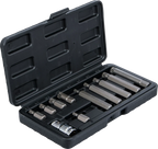 Conjunto de pontas | Entrada de sextavado externo 10 mm (3/8") | Dente interno polivalente (para XZN) | 11 peças