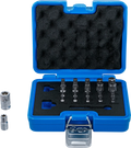 Conjunto de pontas | Perfil TS (para Torx Plus) | 23 peças