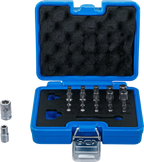 Conjunto de pontas | Perfil TS (para Torx Plus) | 23 peças