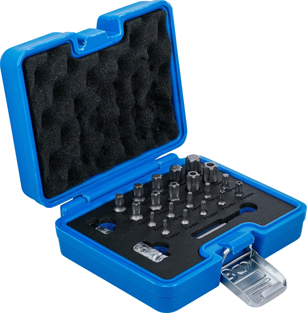 Conjunto de pontas | Perfil TS (para Torx Plus) | 23 peças