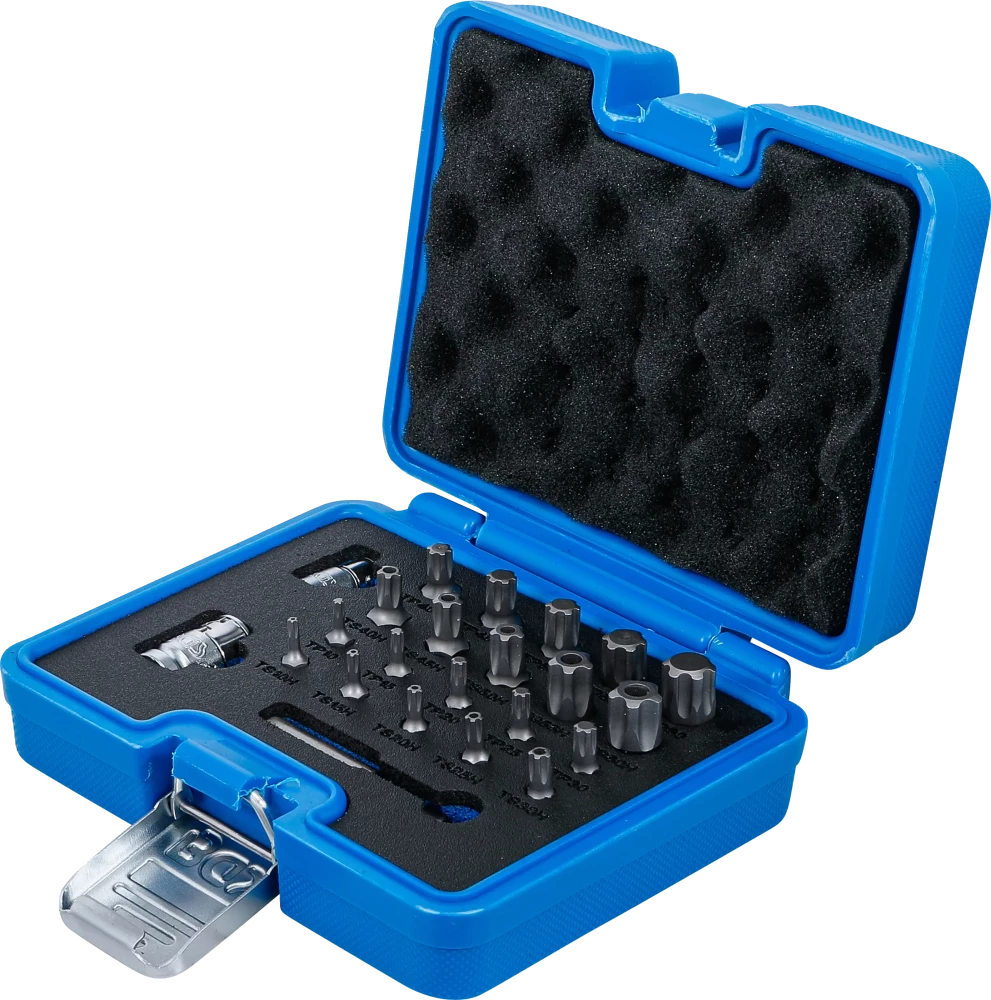 Conjunto de pontas | Perfil TS (para Torx Plus) | 23 peças