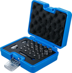 Conjunto de pontas | Perfil TS (para Torx Plus) | 23 peças