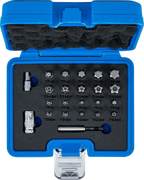Conjunto de pontas | Perfil TS (para Torx Plus) | 23 peças