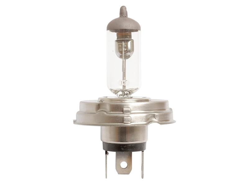 Lâmpada 12V P45t Agripak 1 un. (S.5090)