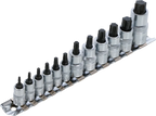 Conjunto de Encaixes para Pontas Torx Extra Curtos | T8 - T60 | 12 peças