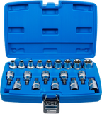 Conjunto de Encaixes Torx e Perfil E | 1/2" | T20-T70 + E10-E24 | 19 peças