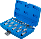 Conjunto de Encaixes Torx e Perfil E | 1/2" | T20-T70 + E10-E24 | 19 peças